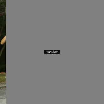 Runner Photo 5444271