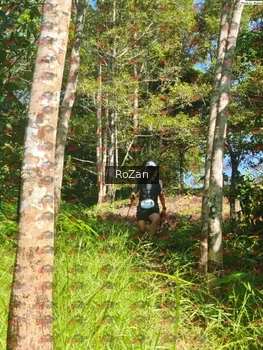 Runner Photo 5452