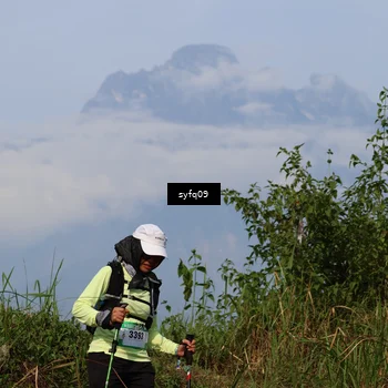 Runner Photo 5454841