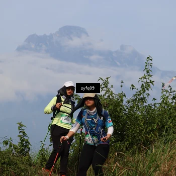 Runner Photo 5455201