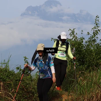 Runner Photo 5455307