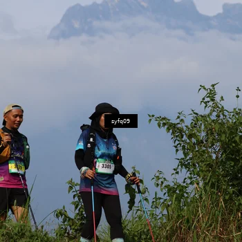 Runner Photo 5455440