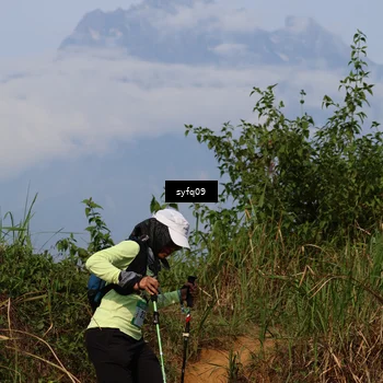 Runner Photo 5455562
