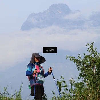 Runner Photo 5455715
