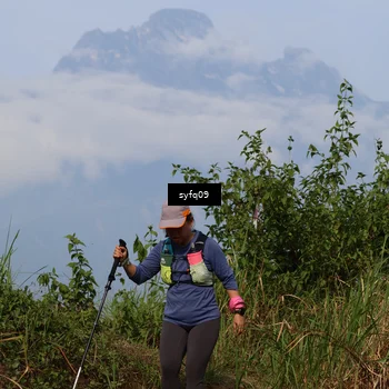 Runner Photo 5455743