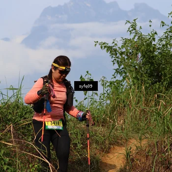 Runner Photo 5455750