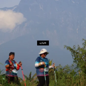 Runner Photo 5455820