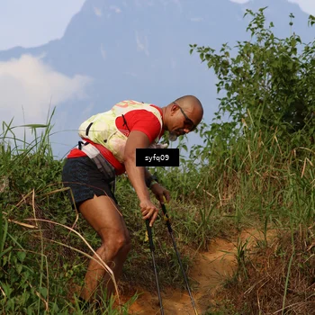 Runner Photo 5455902