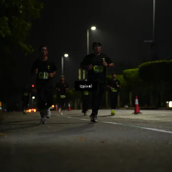 Runner Photo 5456262