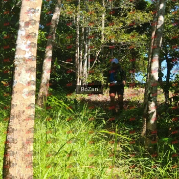 Runner Photo 5458
