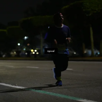 Runner Photo 5461884