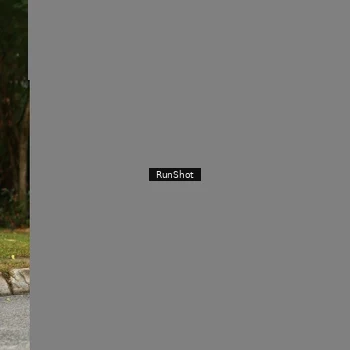 Runner Photo 5466357
