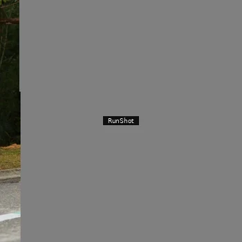 Runner Photo 5466756