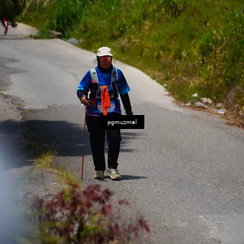 Runner Photo 5473562