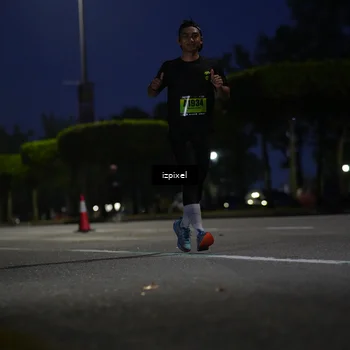 Runner Photo 5473813