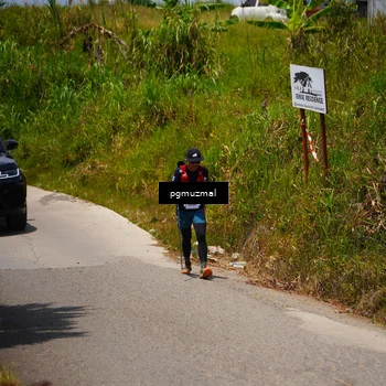 Runner Photo 5474577