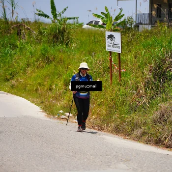Runner Photo 5474784