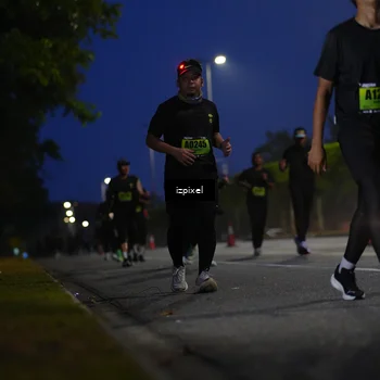 Runner Photo 5475965