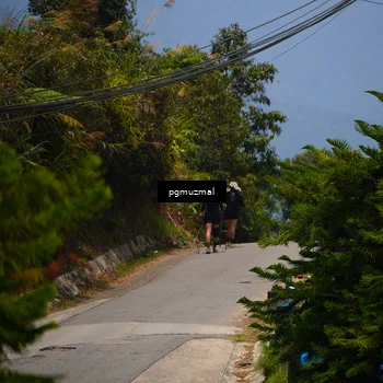 Runner Photo 5476375