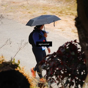 Runner Photo 5476387