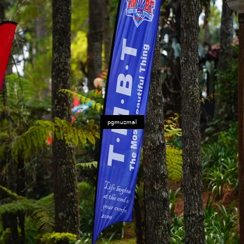 Runner Photo 5476515