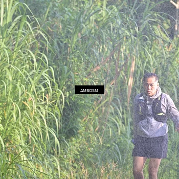Runner Photo 5476653