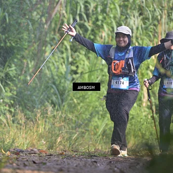 Runner Photo 5478842