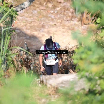 Runner Photo 5479589