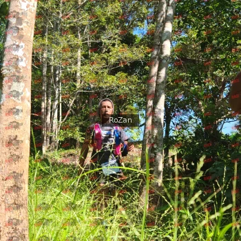 Runner Photo 5480