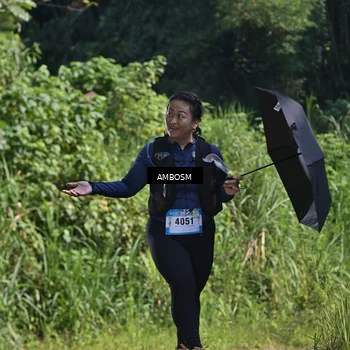 Runner Photo 5480020