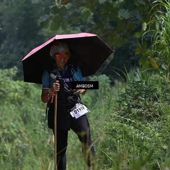 Runner Photo 5480557