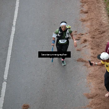 Runner Photo 5480719