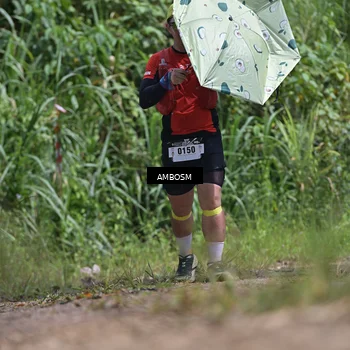 Runner Photo 5480730