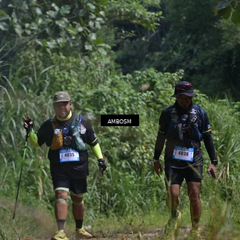 Runner Photo 5480864