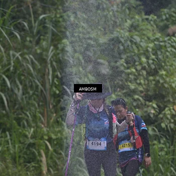 Runner Photo 5480993