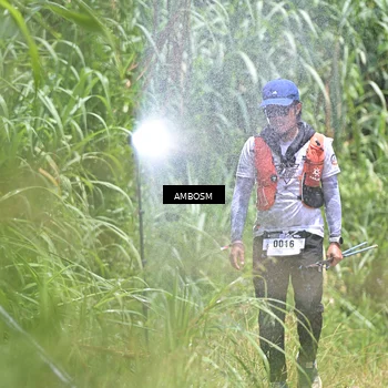 Runner Photo 5485015