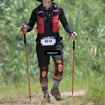Runner Photo 5485219