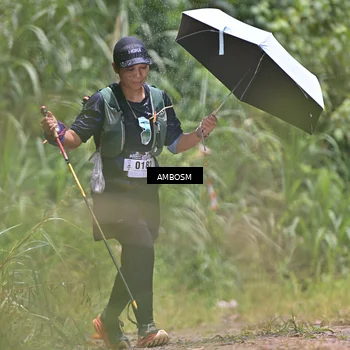 Runner Photo 5485756