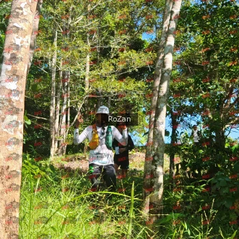 Runner Photo 5486