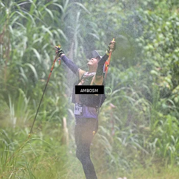 Runner Photo 5487529