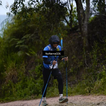 Runner Photo 5487649