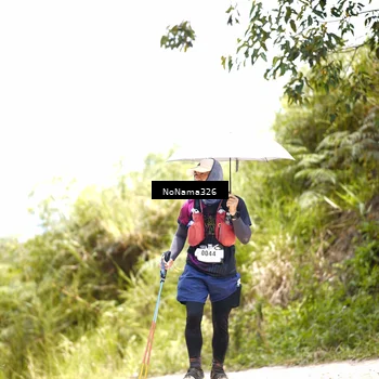 Runner Photo 5488432
