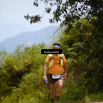 Runner Photo 5489571