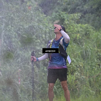 Runner Photo 5489712