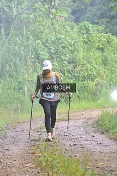 Runner Photo 5490242