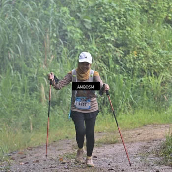 Runner Photo 5490247