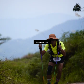 Runner Photo 5490395