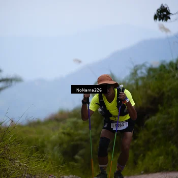 Runner Photo 5490411