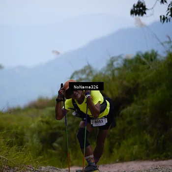 Runner Photo 5490437