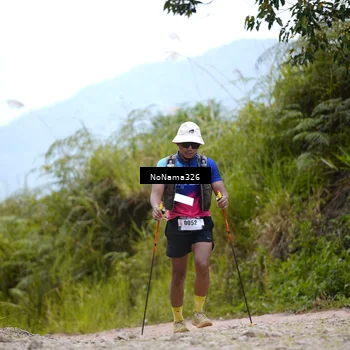 Runner Photo 5490633